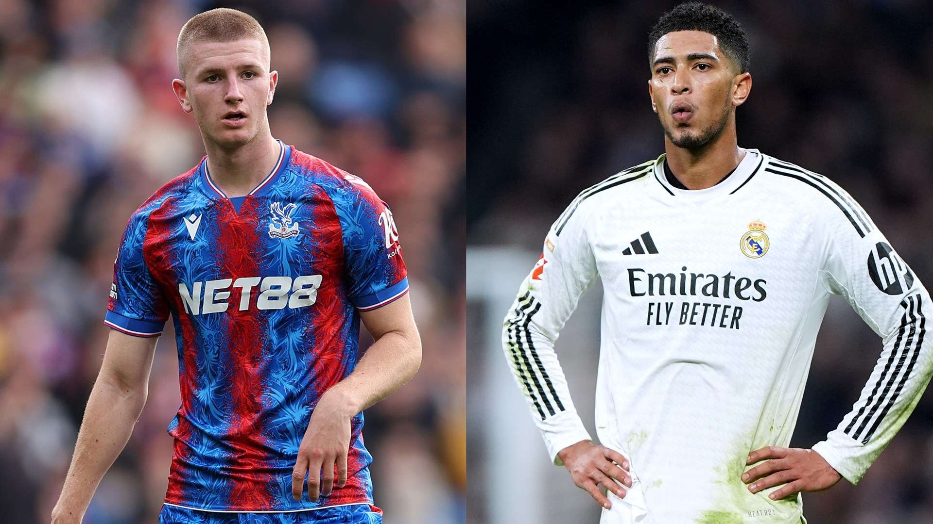 邱彪所強調 邱彪所強調