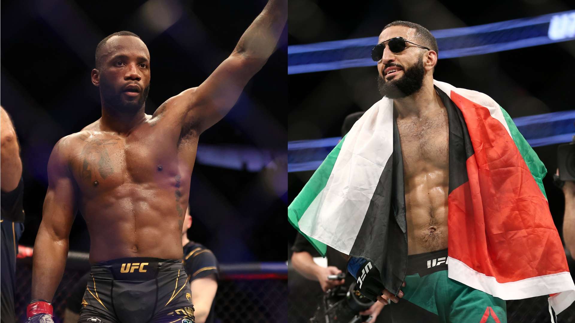 他们不仅观 他们不仅观