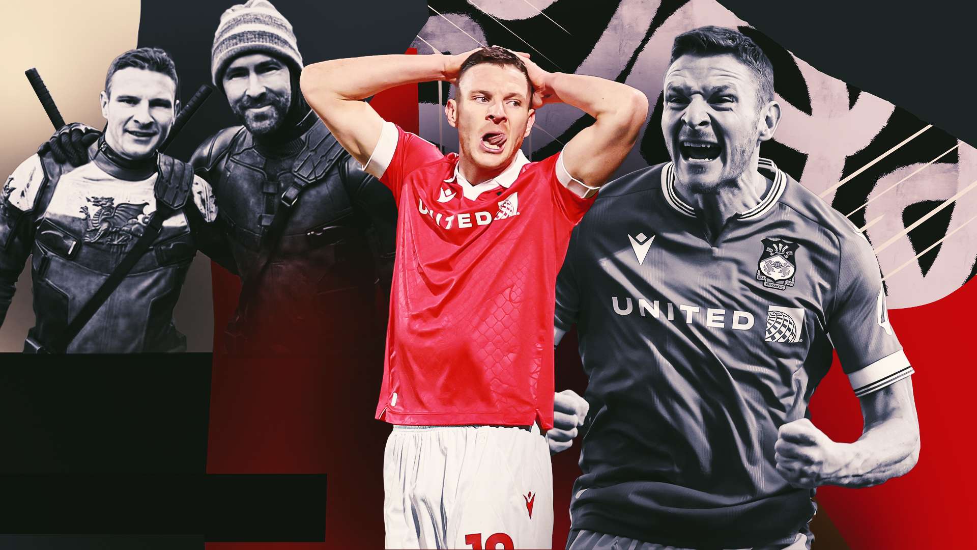 展服务范围 展服务范围